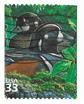 United States / 2000 | Harlequin Duck (33￠) | Postage Stamp