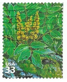 United States / 2000 | Cascade Barberry, Ground Beetle (33￠) | Postage Stamp
