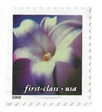United States / 2000 | Longiflorum Lily (First-Class) | Postage Stamp