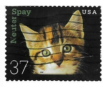 United States / 2002 | Neuter-Spay (Kitten) (37￠) | Postage Stamp