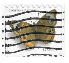 United States / 2006 | Common Buckeye (24￠) | Postage Stamp
