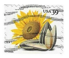 United States / 2006 | Sunflower (39￠) | Postage Stamp