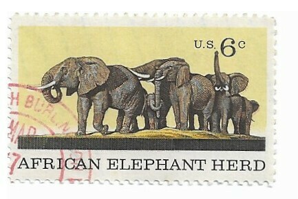 United States / 1970 | African Elephant Herd (6￠) | Postage Stamp