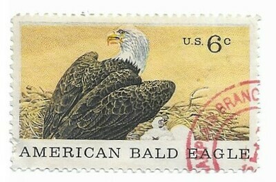 United States / 1970 | American Bald Eagle (6￠) | Postage Stamp
