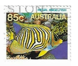 Australia / 1984 | Regal Angelfish (85 c) | Postage Stamp