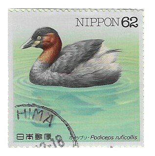 Japan / 1991 | Little Grebe (62 ¥) | Postage Stamp