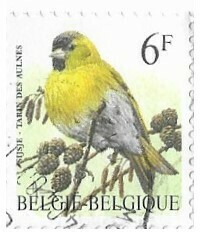 Belgium / 1996 | Eurasian Siskin (6 Fr) | Postage Stamp