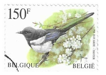 Belgium / 1996 | Eurasian Magpie (150 Fr) | Postage Stamp