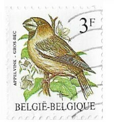Belgium / 1985 | Hawfinch (3 Fr) | Postage Stamp