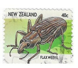 New Zealand / 1997 | Flax Weevil (40 c) | Postage Stamp