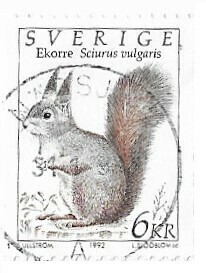 Sweden / 1992 | Eurasian Red Squirrel (6 kr) | Postage Stamp