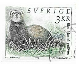 Sweden / 1993 | European Polecat (3 kr) | Postage Stamp