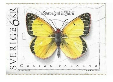 Sweden / 1993 | Moorland Clouded Yellow (6 kr) | Postage Stamp