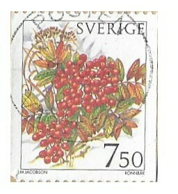 Sweden / 1996 | Rowan (7.50 kr) | Postage Stamp