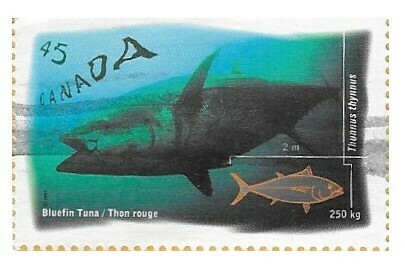 Canada / 1997 | Atlantic Bluefin Tuna (45 ¢) | Postage Stamp