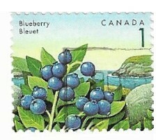 Canada / 1992 | Blueberry (1 ¢) | Postage Stamp