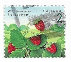 Canada / 1992 | Wild Strawberry (2 ¢) | Postage Stamp