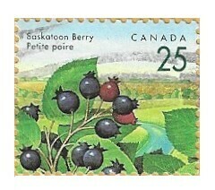 Canada / 1992 | Saskatoon Berry (25 ¢) | Postage Stamp