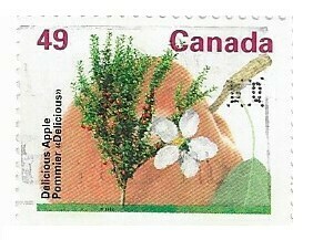 Canada / 1992 | Delicious Apple (49 ¢) | Postage Stamp
