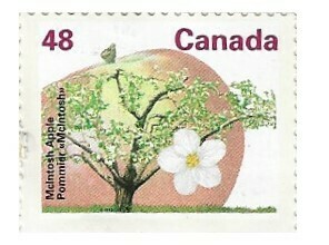 Canada / 1991 / McIntosh Apple (48 ¢)