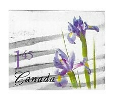 Canada / 2005 | Purple Dutch Lily (1.45 $) | Postage Stamp