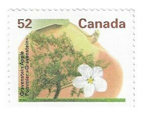 Canada / 1995 | Gravenstein Apple (52 ¢) | Postage Stamp