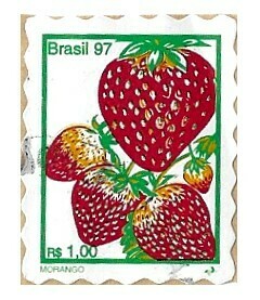 Brazil / 1997 | Strawberry (1.00 R$) | Postage Stamp