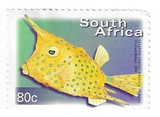 South Africa / 2000 | Longhorn Cowfish (80 c) | Postage Stamp