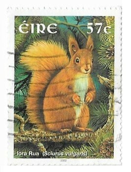 Ireland / 2002 | Red Squirrel (57 ct.) | Postage Stamp