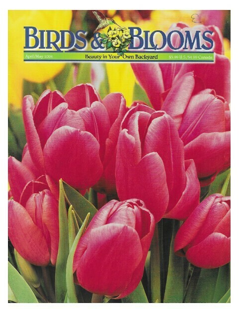 Birds + Blooms / Red Tulips | April-May 2004