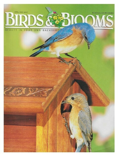 Birds + Blooms / Bluebirds | April-May 2007