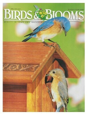 Birds + Blooms / Bluebirds | April-May 2007