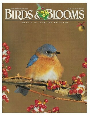 Birds + Blooms / American Bittersweet and Bluebird | December-January 2006