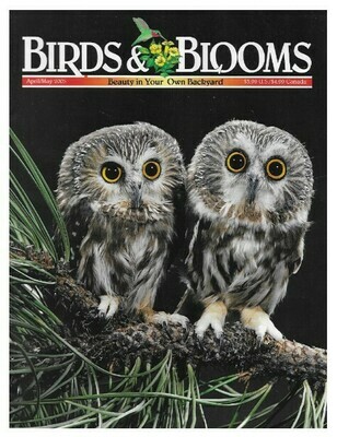 Birds + Blooms / Northern Saw-Whet Owls | April-May 2005