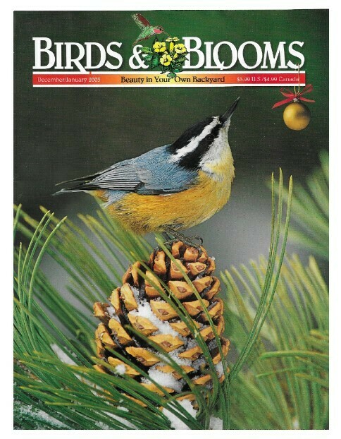 Birds + Blooms / Red-Breasted Nuthatch | December-January 2005
