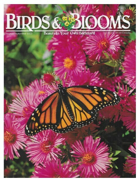 Birds + Blooms / Monarch On Aster | August-September 2005