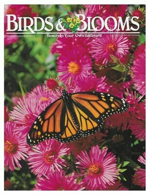 Birds + Blooms / Monarch On Aster | August-September 2005