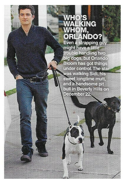 Bloom, Orlando / Who's Walking Whom, Orlando? / 2010