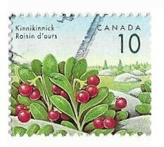 Canada / 1992 | Kinnikinnick (10 ¢) | Postage Stamp