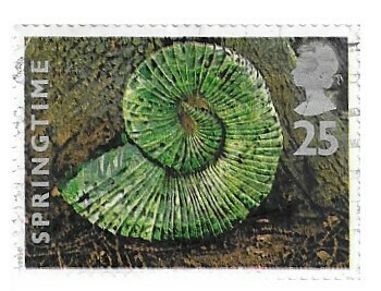 Great Britain / 1995 | Shell of Chestnut Leaves (25 p) | Postage Stamp