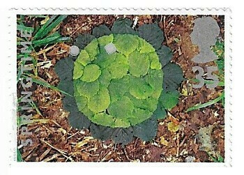 Great Britain / 1995 | Hazel Leaves (35 p) | Postage Stamp