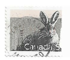 Canada / 1988 | Varying Hare (5 ¢) | Postage Stamp