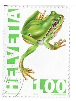 Switzerland / 1995 | European Green Treefrog (100 ct) | Postage Stamp