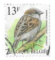 Belgium / 1994 | House Sparrow (13 Fr.) | Postage Stamp