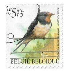 Belgium / 1992 | Barn Swallow (5 Fr.) | Postage Stamp