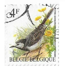 Belgium / 1992 | White Wagtail (4 Fr.) | Postage Stamp