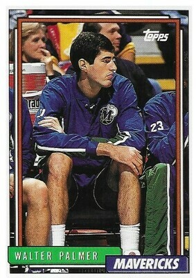 Palmer, Walter / Dallas Mavericks | Topps #246 | Basketball Trading Card | 1992-93 | Rookie Card