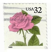 United States / 1995 | Pink Rose (32 ¢) | Postage Stamp