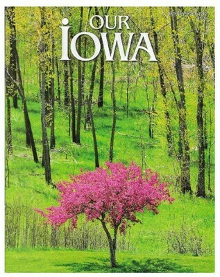 Our Iowa / Polk County, IA | February-March 2010