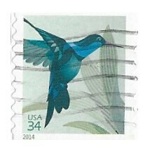 United States / 2014 | Broad-Billed Hummingbird (34 ¢) | Postage Stamp